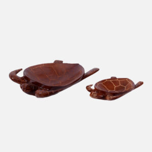 Turtle Fruit Bowl