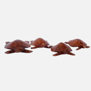 Handmade Turtle