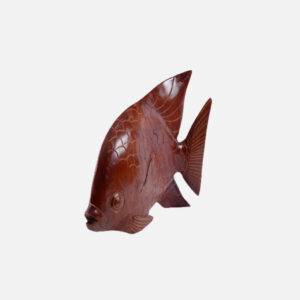 Display Angel Fish - 1001