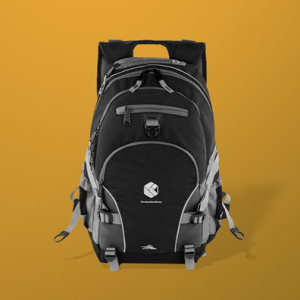 High Sierra Loop Backpack
