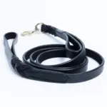 Braided Leash Double handle