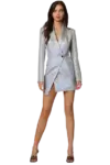 Cristie Metallic Two Tone Dress