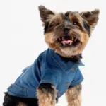 Dusten Denim Dog Jacket Stylish Distressed Jean Jacket with Poop Bag Pocket