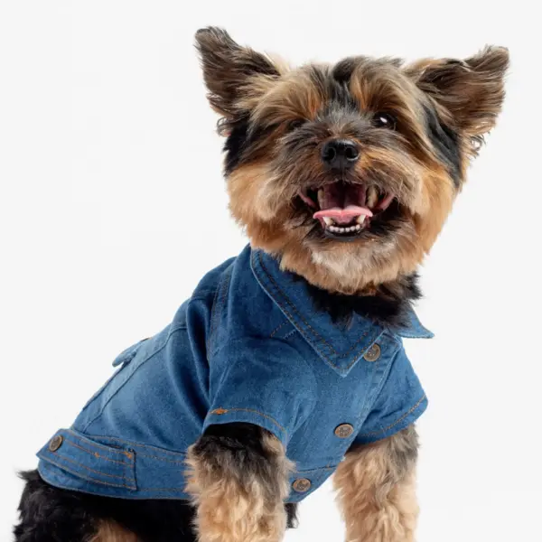 Dusten Denim Dog Jacket Stylish Distressed Jean Jacket with Poop Bag Pocket
