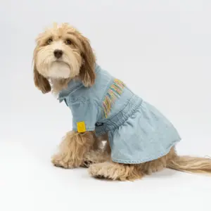 Ocean Denim Dog Dress Chic Festival-Ready Outfit with Rainbow Fringe & Leash Opening