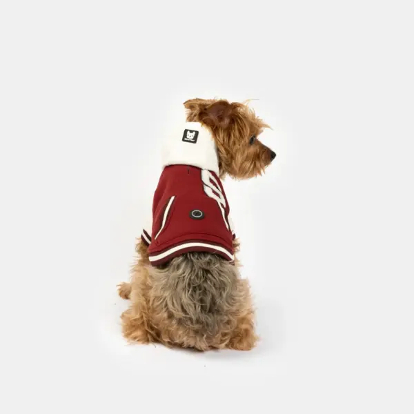 Otis Dog Letterman Jacket Varsity-Inspired Bomber with Hood & Leash Access