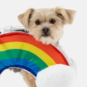 Rainbow Dog Costume Colorful & Fun Matching Pet Outfit
