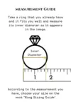"Tiny Rainbow" | 18K Chain Ring