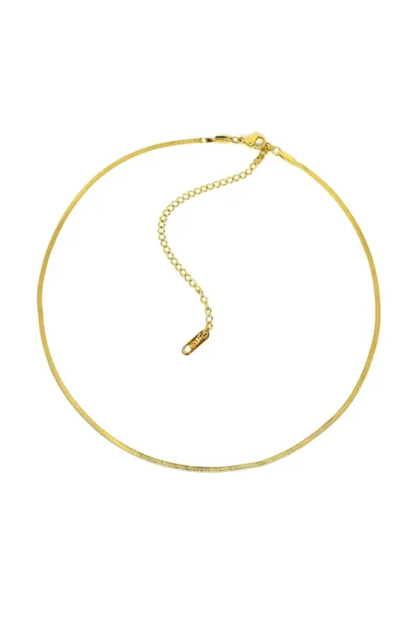 18K Flat Chain Choker