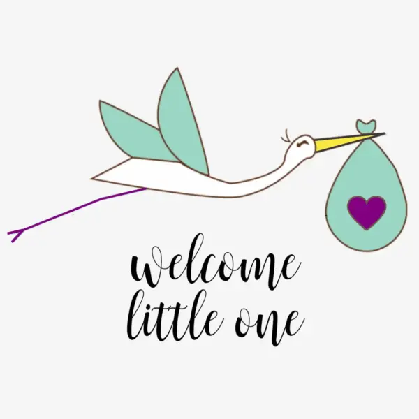 Organic full care new baby gift set welcome little one