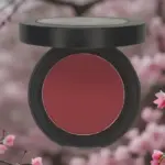 Single Pan Blush - Raspberry - SPB1 | Hypoallergenic, Talc Free, Cruelty Free, Matte Finish