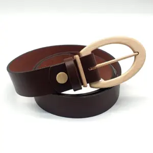Sagarmatha Clever 401