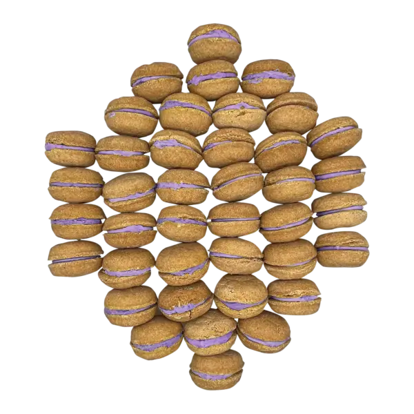 40 Count Dog Macaron Treats Gift Box