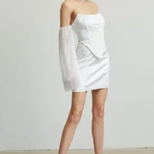 38584400_large.webp