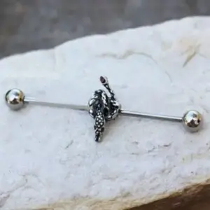 316L Stainless Steel Rattlesnake Industrial Barbell
