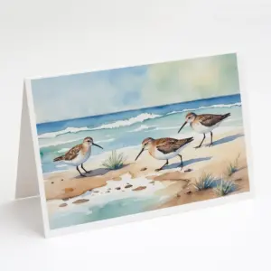 Sandpipers Hunting Greeting Cards Pack of 8