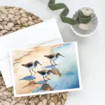 Sandpipers Greeting Cards Pack of 8