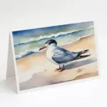 Tern Resting Greeting Cards Pack of 8