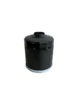 Standard oil pump demister