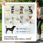 PawHut Foldable Pet Stroller for Small and Miniature Dog in Dark Grey