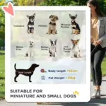 PawHut 3 Wheel Pet Stroller for Small and Miniature Dogs in Charcoal Grey
