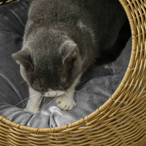 PawHut Wicker Cat House with Washable Cushion for Indoor Cats in Light Brown