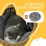 PawHut Wicker Cat House with Washable Cushion for Indoor Cats in Light Brown