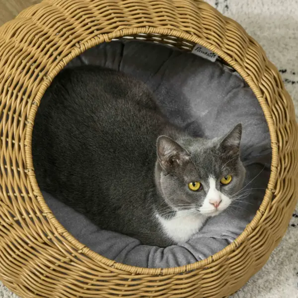 PawHut Wicker Cat House with Washable Cushion for Indoor Cats in Light Brown