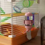 PawHut 5 Tier Hamster Cage Carrier Habitat with Exercise Wheels, Tunnel in Orange