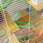 PawHut 5 Tier Hamster Cage Carrier Habitat with Exercise Wheels, Tunnel in Orange