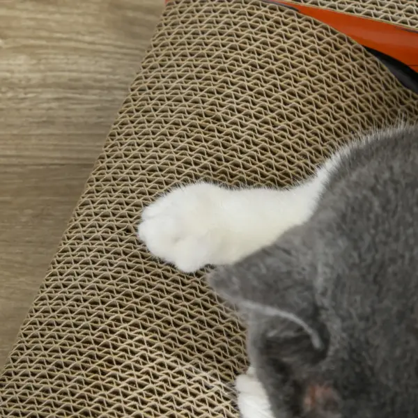 2 in 1 Cat Scratching Board with Catnip, Car-shaped by PawHut