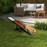 Wooden Pet Seesaw for Big Dogs, Dog Agility Equipment with Anti-Slip Surface in Black by PawHut