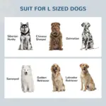 Elevated Dog Feeder, Stainless Steel Pet Bowls with Storage Drawer, 21L Capacity for Large Breeds in Grey | PawHut