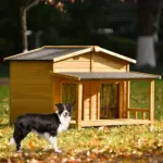 47.2" Large Wooden Dog House Outdoor, Outdoor & Indoor Dog Crate, Cabin Style, With Porch, 2 Doors