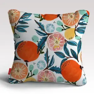 Fruit Shower Poster (2) Cushion/Pillow