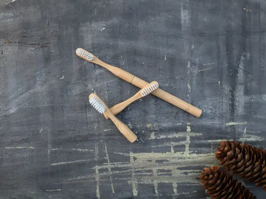Refillable Bamboo Toothbrush (Canada Only)