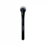Cheek Fan Brush