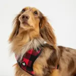 Red Plaid Poplin Dog Harness Adjustable, Secure & Stylish