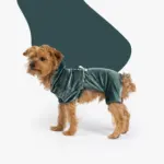Coco Velour Dog Pajamas Ultra-Soft & Cozy PJs in Teal